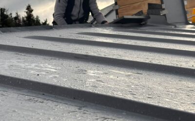 Dachwartung Gießen: Warum regelmäßige Kontrolle teure Schäden verhindert